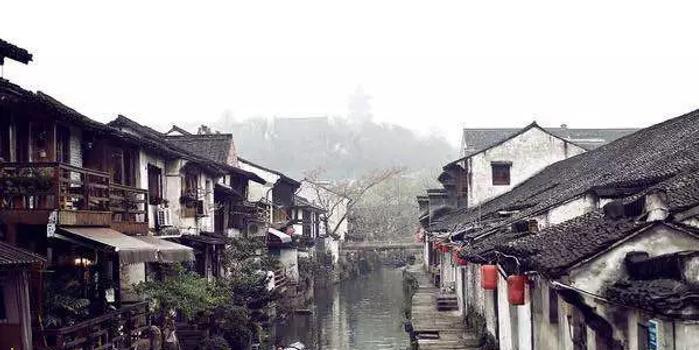 金毛出去打架带小弟，战况惨烈身负重伤，回家后被主人批评